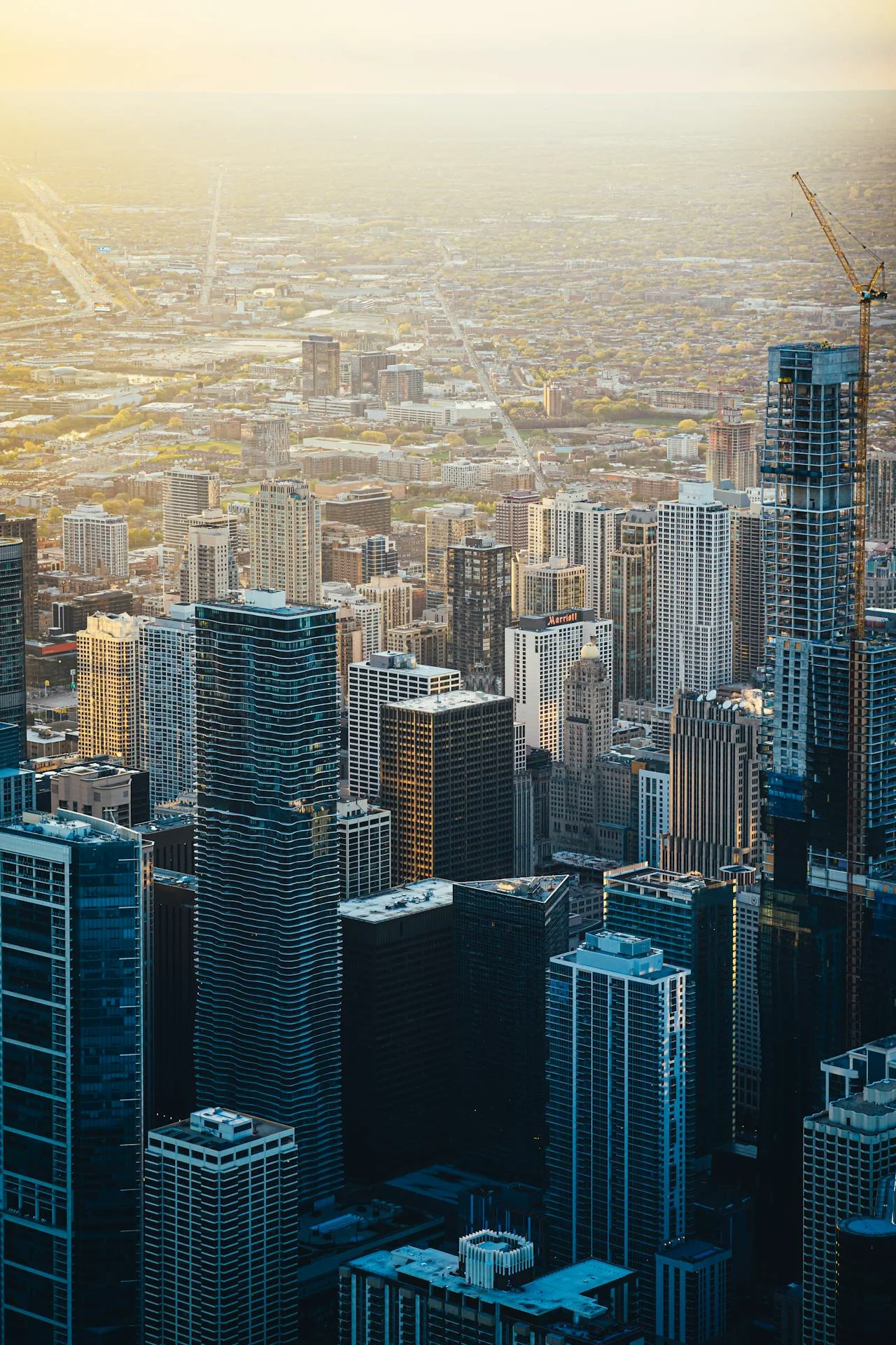skyscape of office buildings