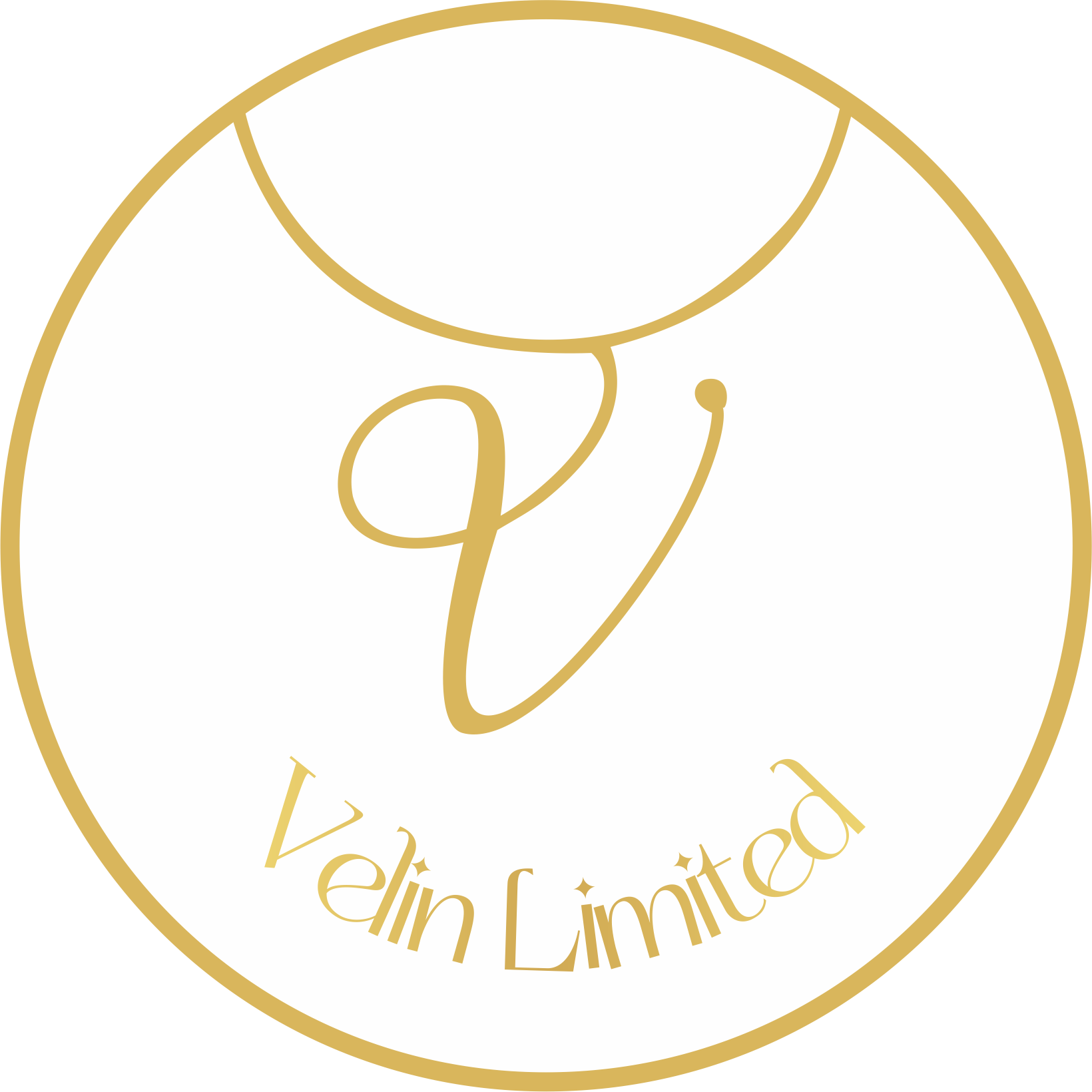 VELIN Logo